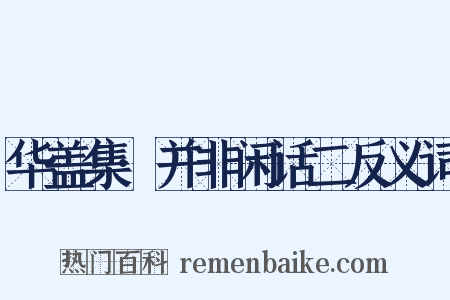 华盖集·并非闲话二反义词是什么意思的图片